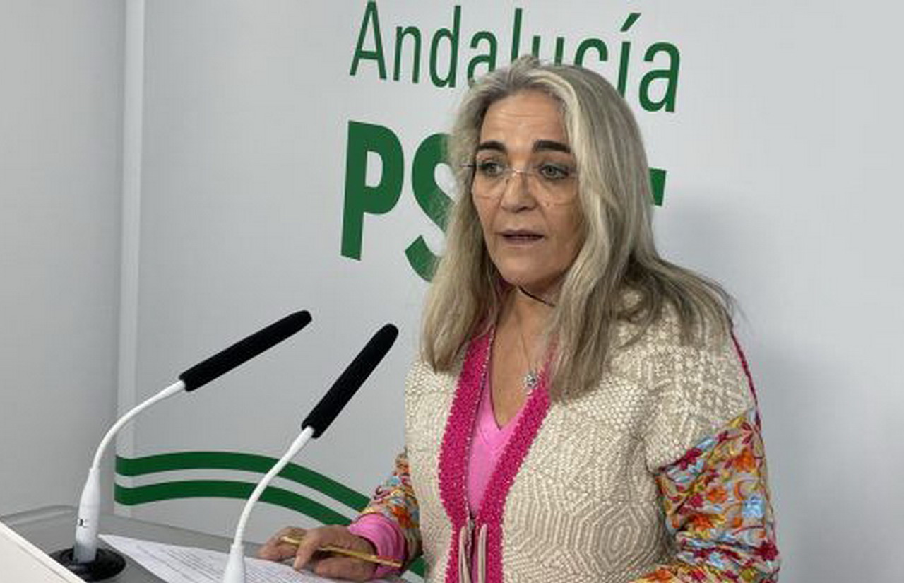 El PSOE pide a la Junta que «cumpla» con el hospital de la Costa e inicie las obras de reparación y lo equipe