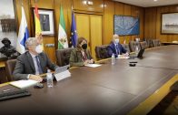 El Puerto de Huelva participa en el Comité de Distribución del Fondo de Compensación Interportuario para abordar los proyectos Puertos 4.0
